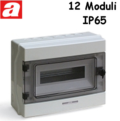 Centralino da Parete 12 Moduli IP65